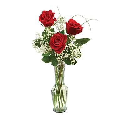 Classic Bud Vase Roses (BF112-11BV)